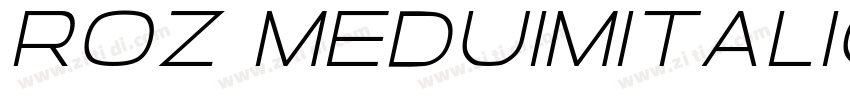Roz MeduimItalic字体转换
